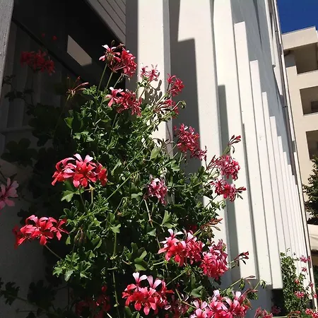 Hotel Arpa 3*