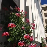 Ξενοδοχείο Arpa 3*